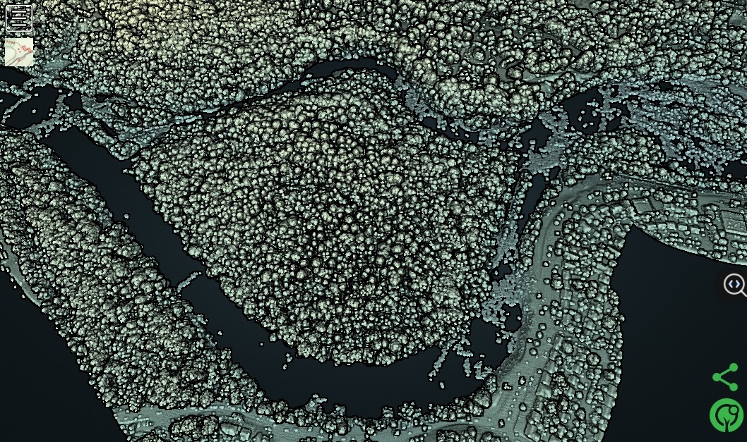 LIDAR View of Lauck's Island w/ Forest Canopy